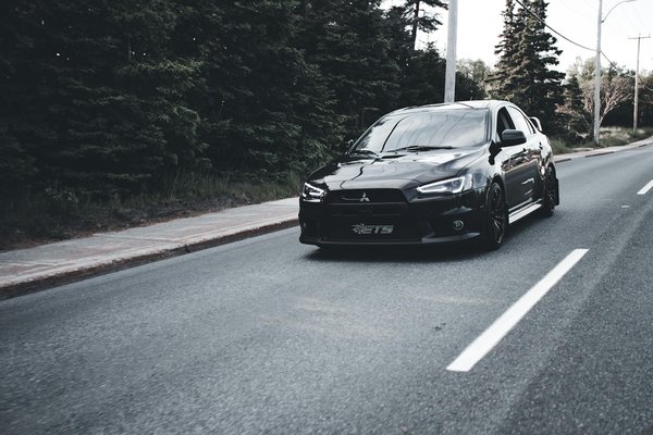 Ernährungsstrategien für übergewichtige Kanarienvögel: So halten Sie Ihre gefiederten Freunde fit und gesund!